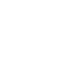 云端大模型推理决策